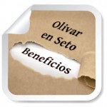 OlivarenSeto_PrincipalesBeneficios
