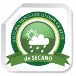 OlivarenSeto_Secano