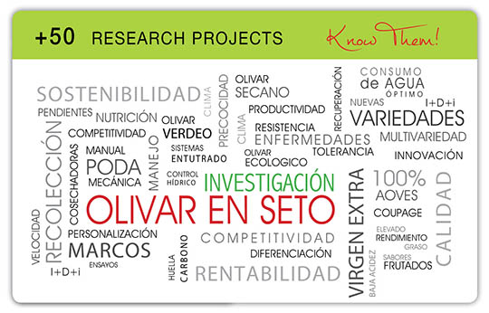 Todolivo_research-projects
